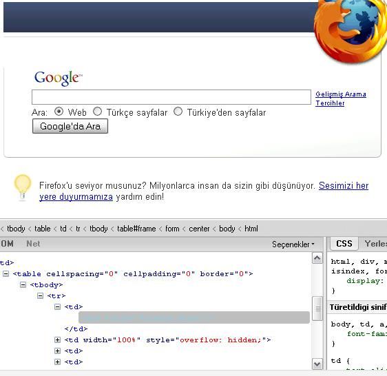 Firebug Eklentisi