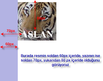Outlines, Padding, Positioning, Table, Text, Pseudo-classes, Pseudo-elements